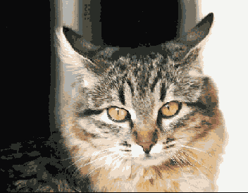 ���������� ��������