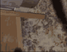 �������� ��������