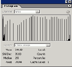 ������ �����������