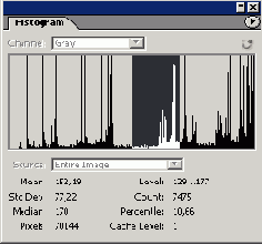 ������ �����������