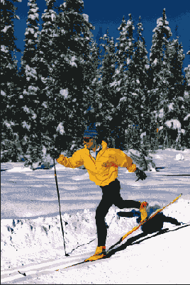 ���������� �������� �����