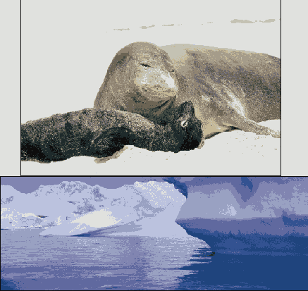 ����� ���� � ���������� �������������