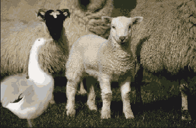 �������� ������ ��� ������ �����