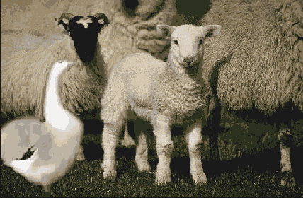 �������� ������ ��� ������ �����