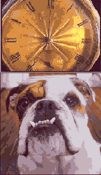 ���������������� ������� ����������� �����