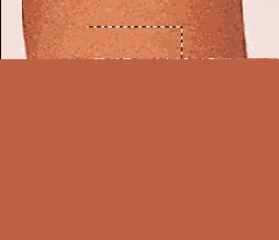 ������������ ��������������