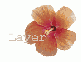 ���������� ���������� �����