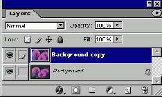 ������������ ���� � ����� � ��� �� �����������