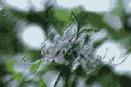 ������� ������� Artistic