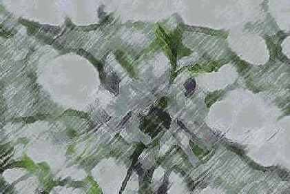 ������� ������� Artistic