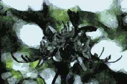 ������� ������� Artistic