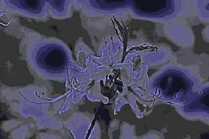 ������� ������� Artistic