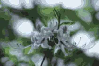 ������� ������� Blur