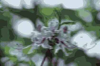 ������� ������� Blur