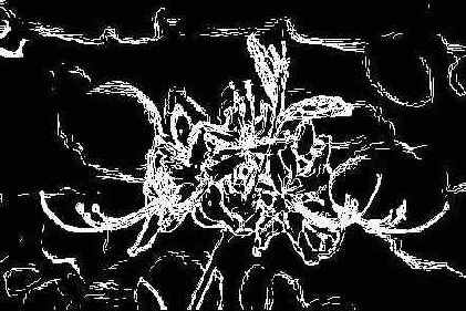 ������� ������� Blur