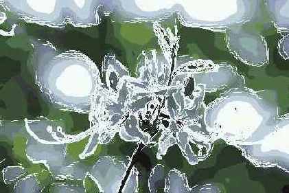 ������� ������� Blur