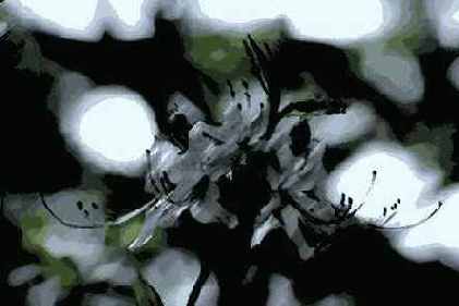 ������� ������� Brush Strokes