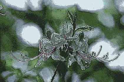 ������� ������� Brush Strokes