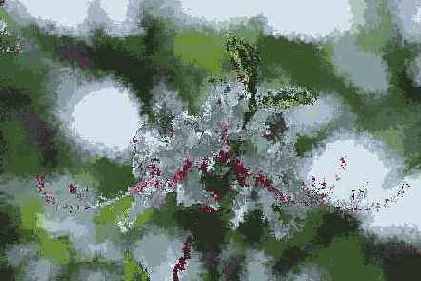 ������� ������� Brush Strokes