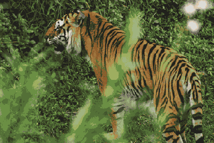 ����������� Dodge � Burn