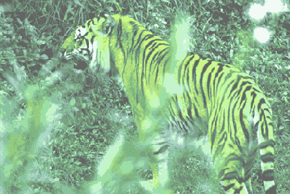 ����������� Dodge � Burn