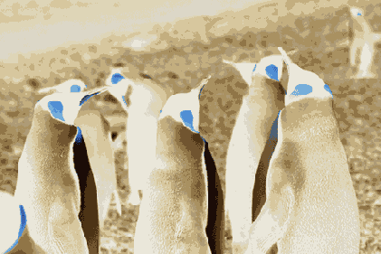 �������������� ������� � ������ �������