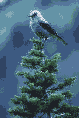 ������������� ����������� History Brush