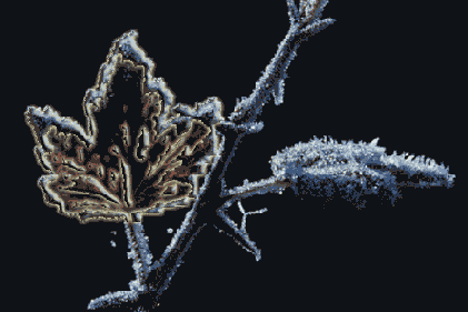 ������������� ����������� Magic Eraser