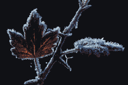 ������������� ����������� Magic Eraser