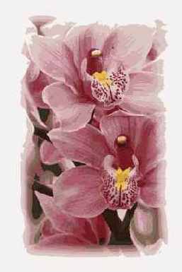 ������������� ����������� Patch Tool