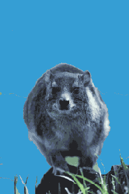 ��������� ����� ���������� ������� � ������� ������ Quick Mask