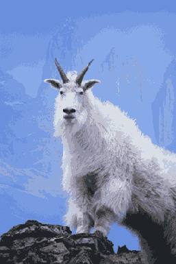 ��������� �������������� ����