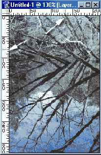 ��������� ��������� ��������� ����� �������