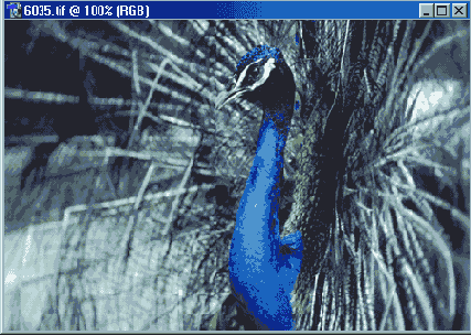 ��������� ������� ������