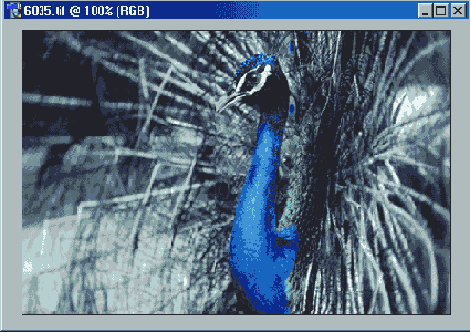 ��������� ������� ������