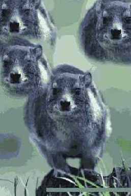 ������������ �������� � ����� �����������