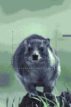 ������������ �������� � ����� �����������