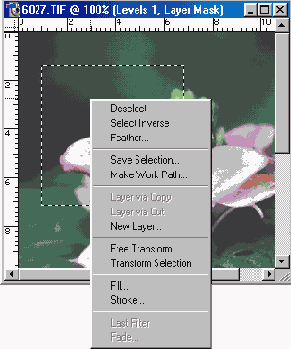 ������ �������� �����������