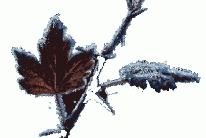 ������� �������