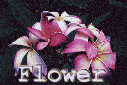 в программе Photoshop, то сохраните