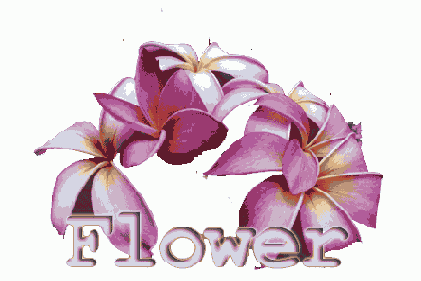 в программе Photoshop, то сохраните