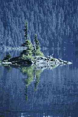 один из возможных форматов для