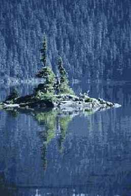 один из возможных форматов для