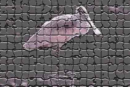 ���������� ������� �� �������