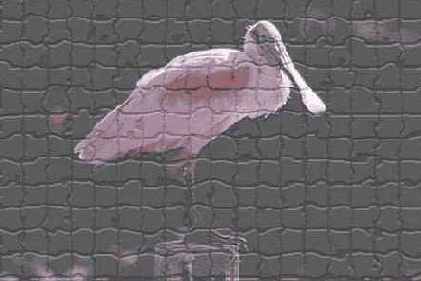 ���������� ������� �� �������