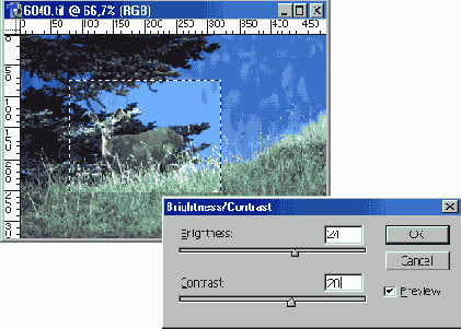 �������� ��������