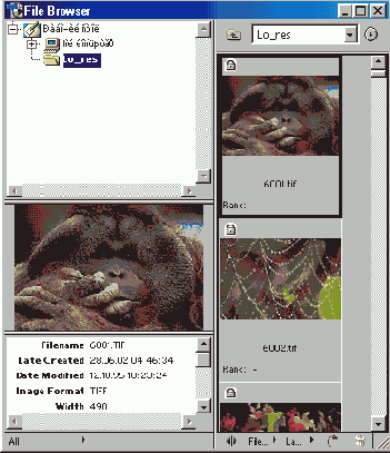 �������� ����������� � ��������� Photoshop