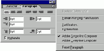 ������� Paragraph