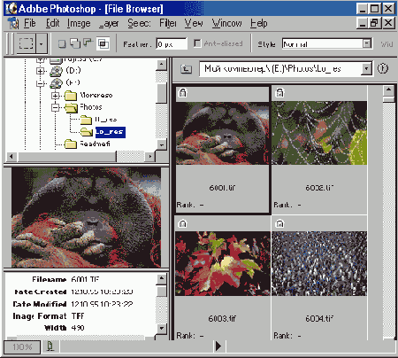 ������ ������������