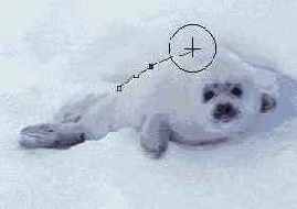 ������ ����� ����������� Magnetic Lasso